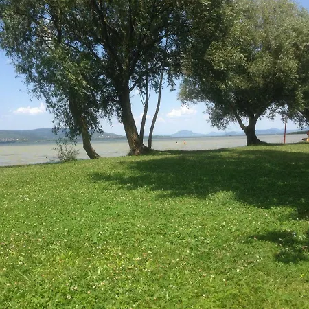 98 Petofi Utca