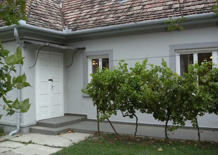 98 Petofi Utca Vakantiehuis *