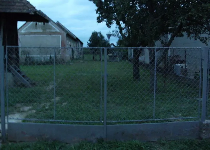 98 Petofi Utca Balatonmagyarod